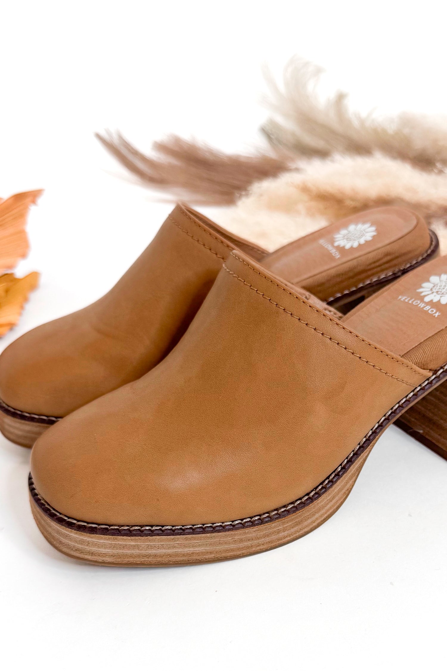 Pair of brown clogs on a white background with dried plants.