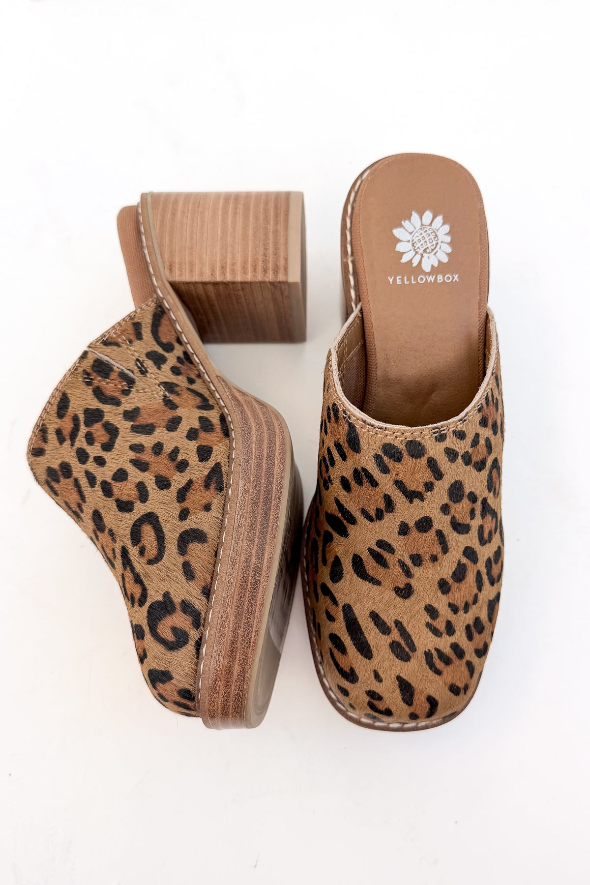 Idalina- Leopard Clog against white studio background.