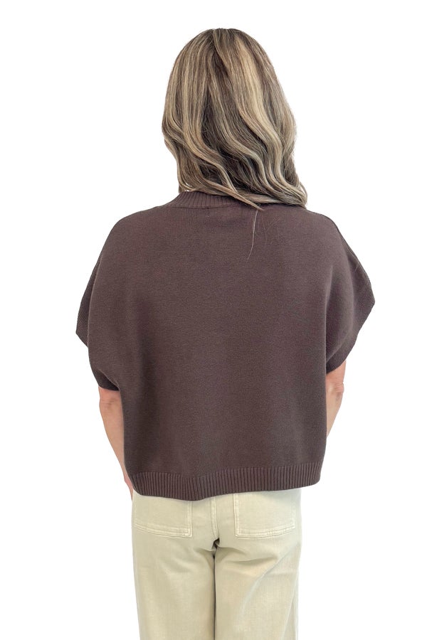 Cinnamon Swirl Brown Light Weight Short Sleeve Sweater
