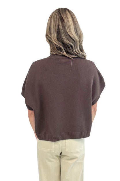 Cinnamon Swirl Brown Light Weight Short Sleeve Sweater