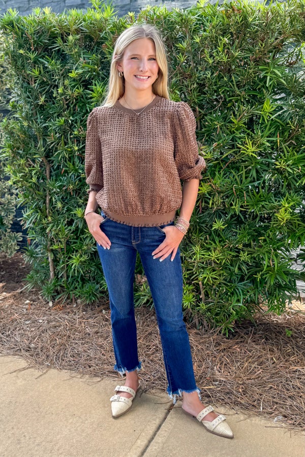 Stolen Weekend Brown Velvet Textured Short Sleeve Top