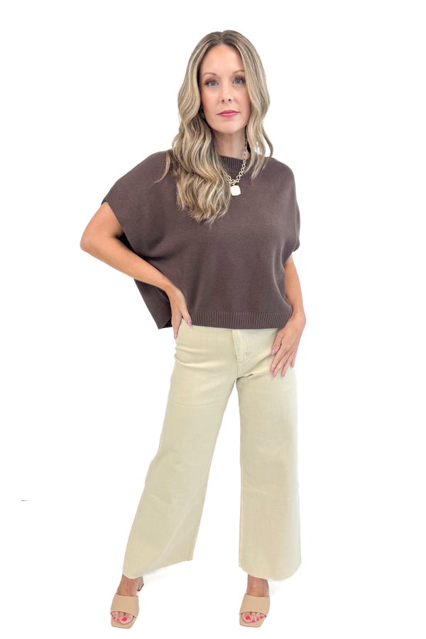 Cinnamon Swirl Brown Light Weight Short Sleeve Sweater