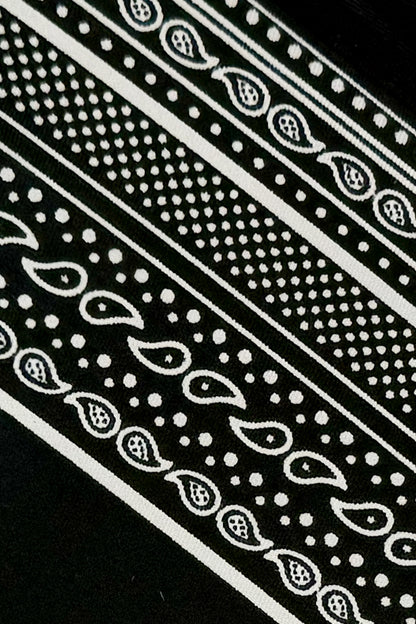 Black and white paisley patterned fabric closeup showing multiple bands with dots and teardrop motifs.