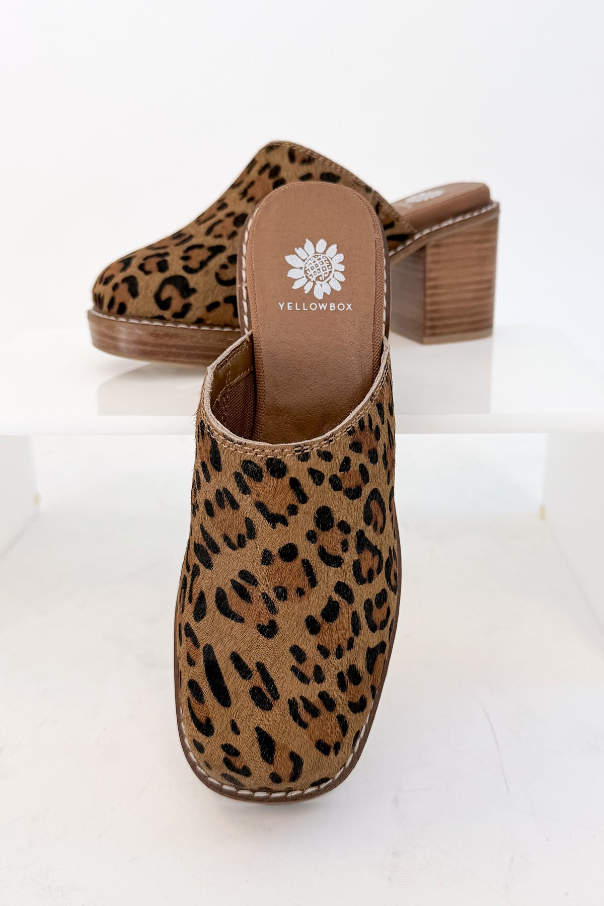Idalina- Leopard Clog against white studio background.