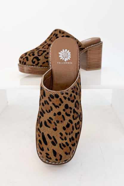 Idalina- Leopard Clog against white studio background.