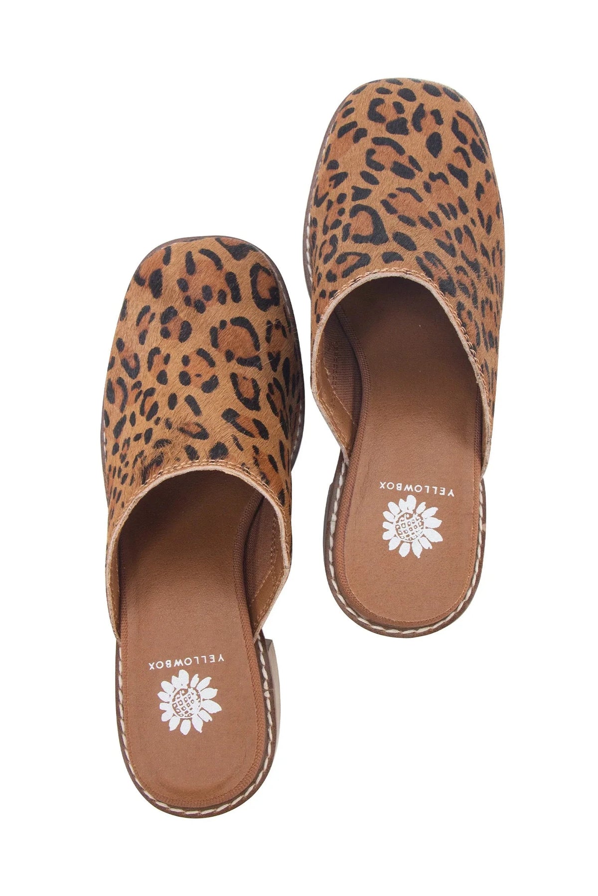 Idalina- Leopard Clog against white studio background.