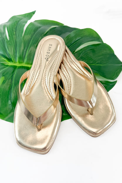 Pointer- Gold Flip Flops against studio background.