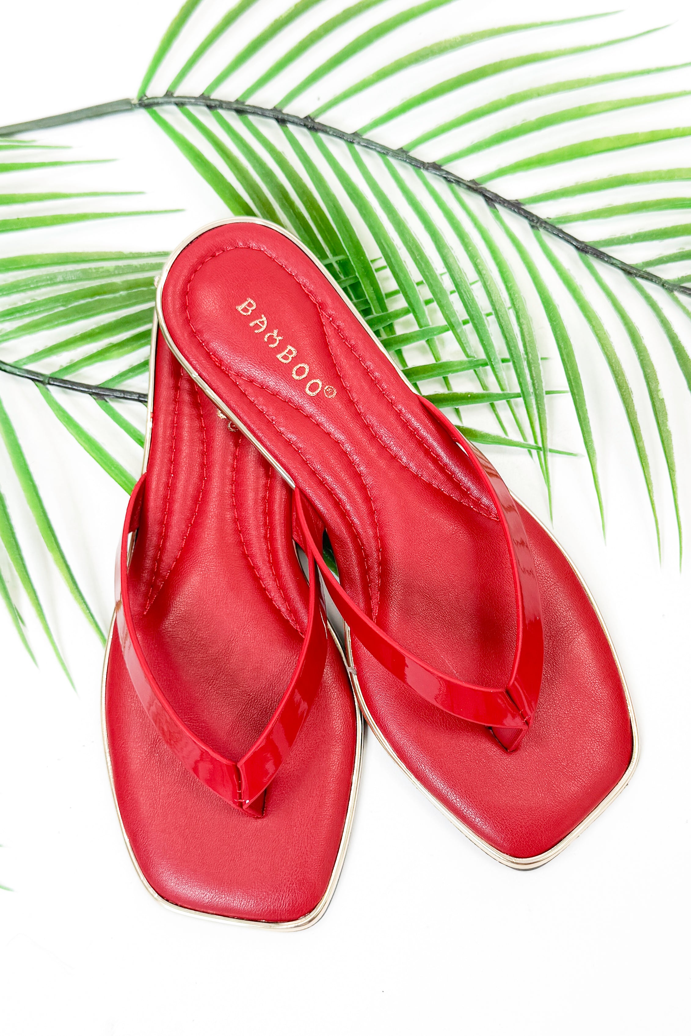 Pointer- Red Flip Flops against studio background.