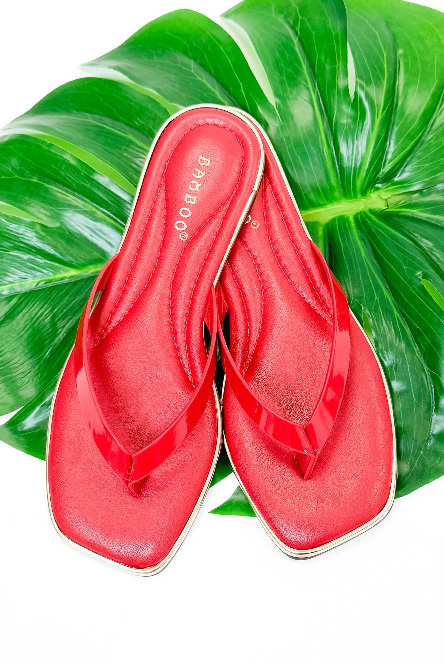 Pointer- Red Flip Flops against studio background.