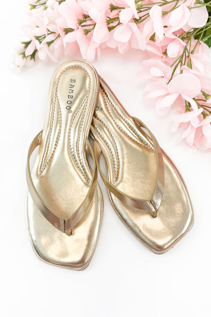 Pointer- Gold Flip Flops against studio background.