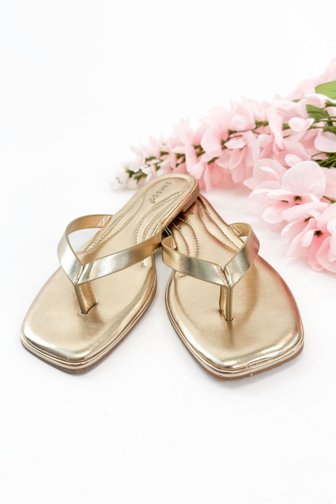 Pointer- Gold Flip Flops against studio background.
