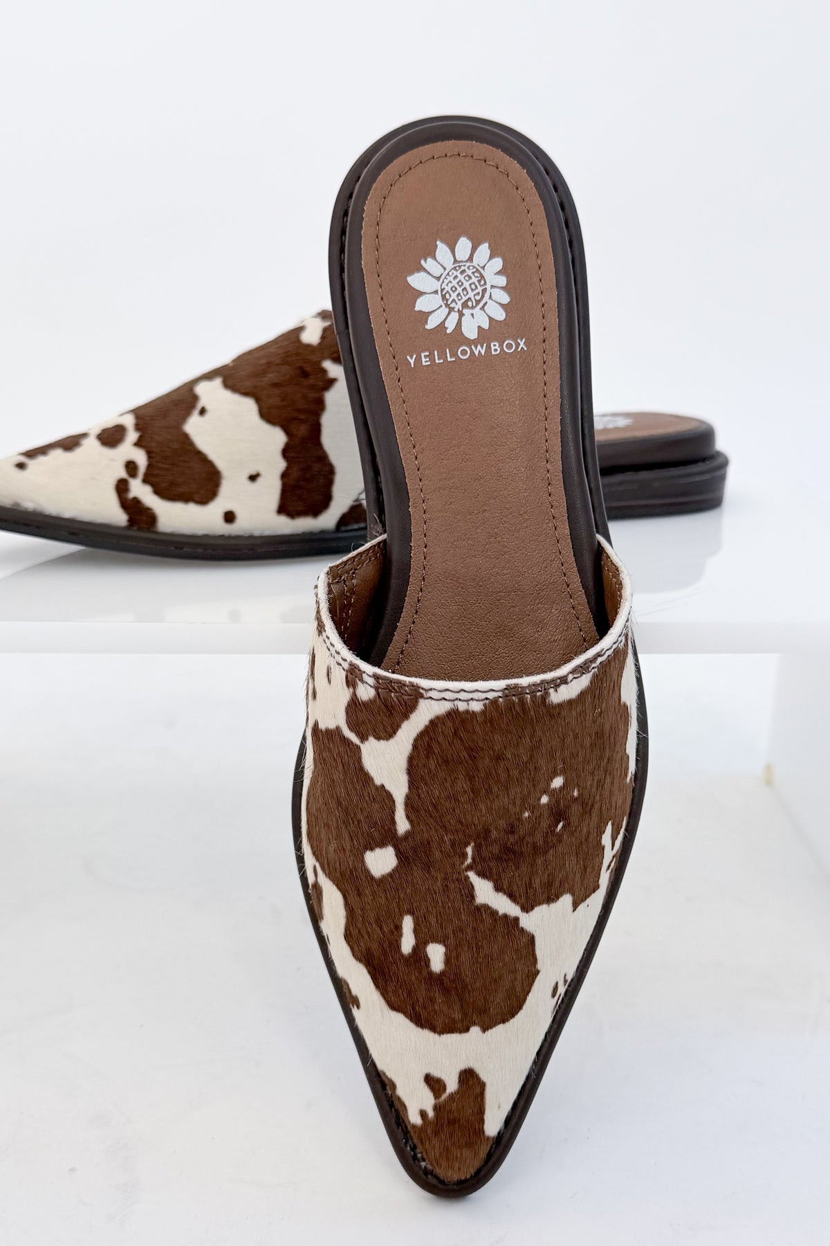 Regan- Cow Print Mule against white studio background.