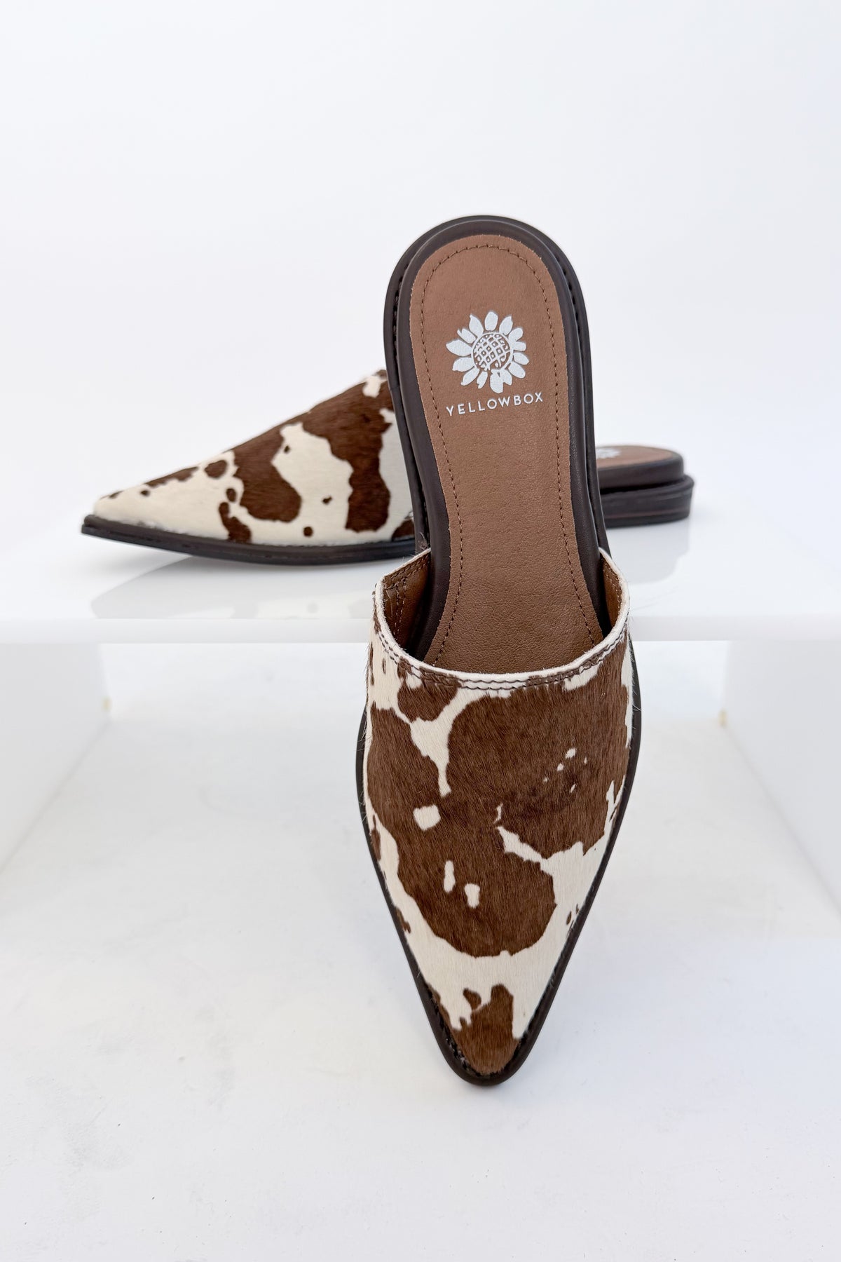 Regan- Cow Print Mule against white studio background.