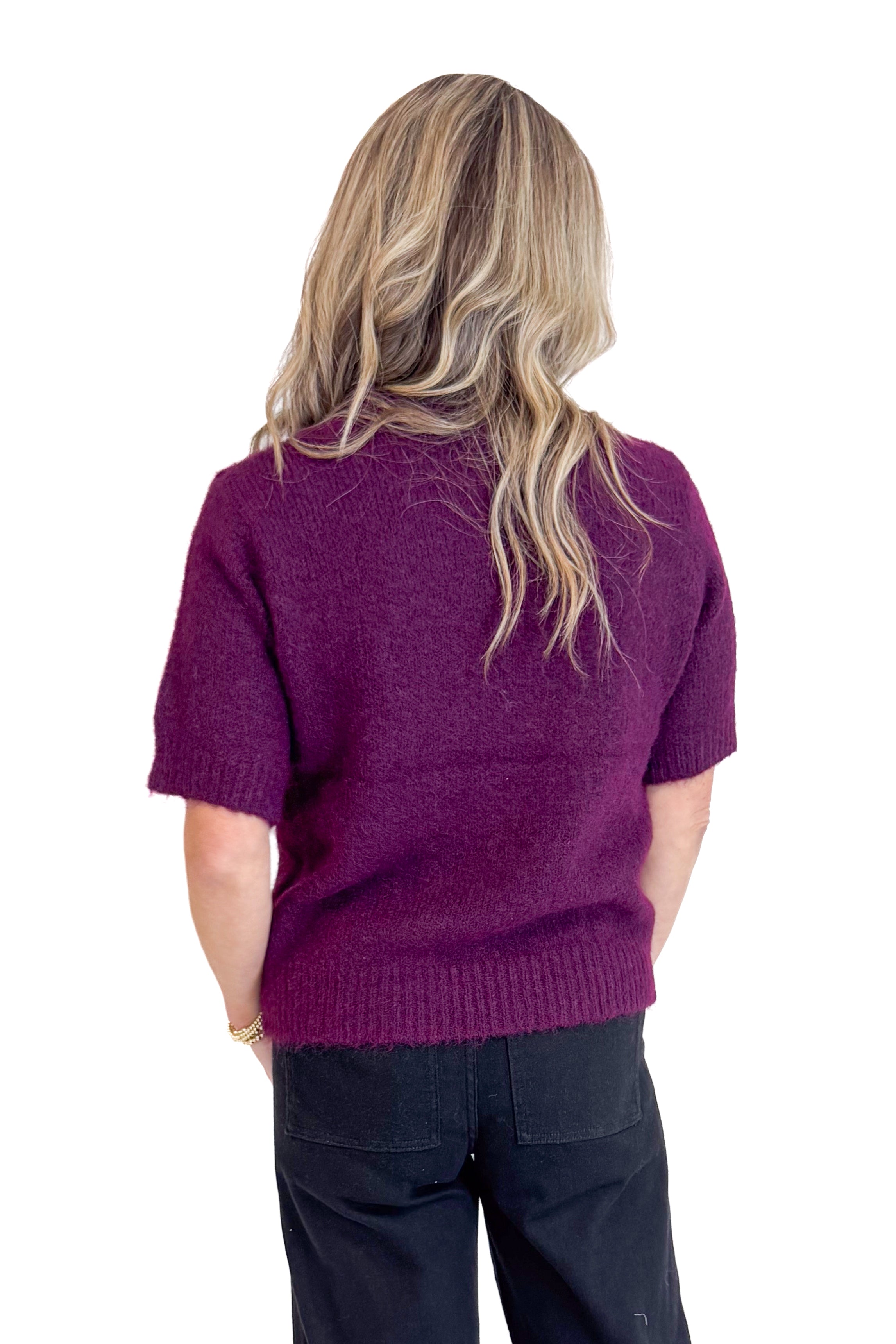 Just My Type Wine Short Sleeve Fuzzy Sweater by Entro