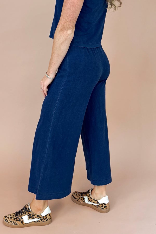 Scout Jersey Denim Pants In Indigo by Z Supply