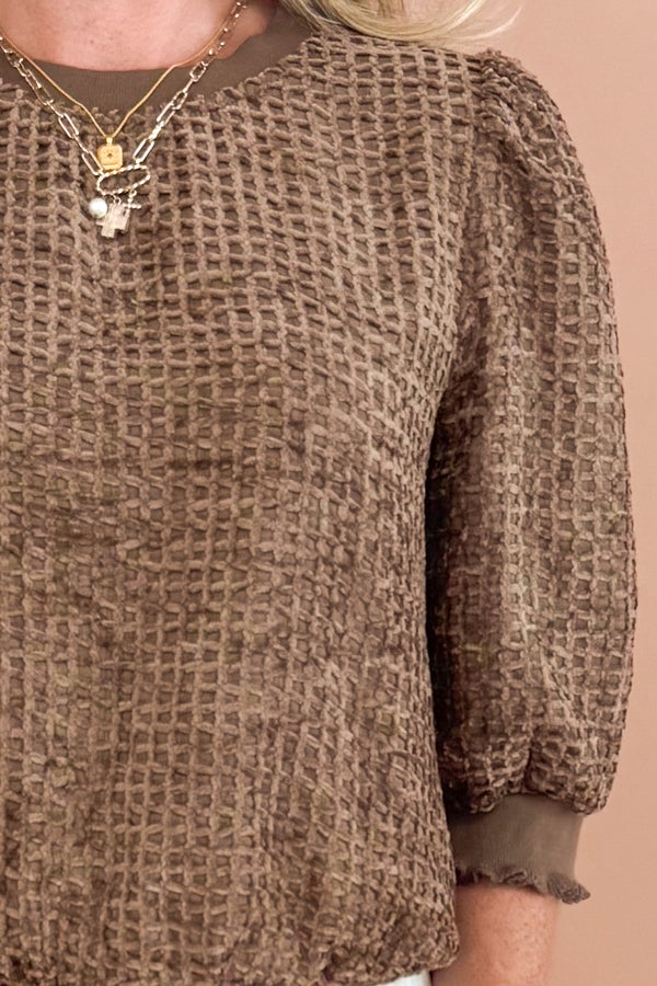 Stolen Weekend Brown Velvet Textured Short Sleeve Top